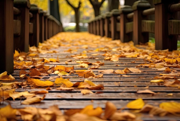 Feuilles d'automne sur l'espace de copie de la passerelle pour le texte