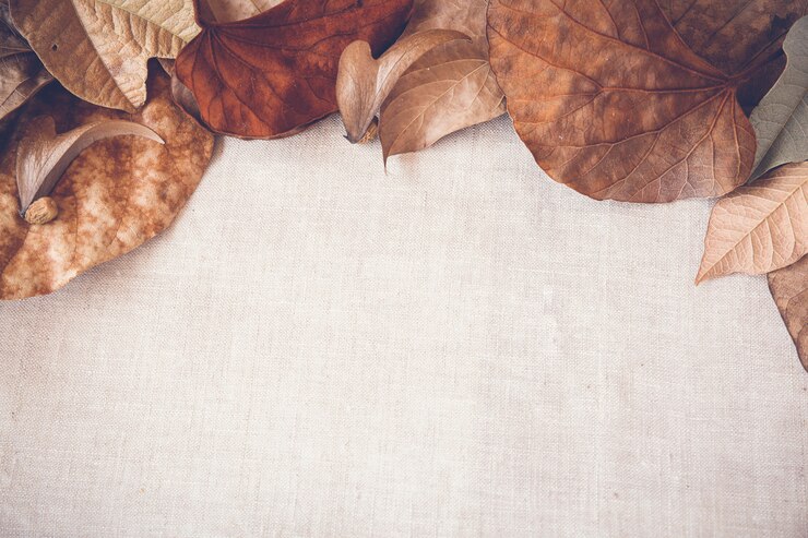 Photo feuilles d&#39;automne espace de copie