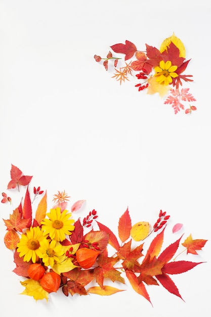 Photo feuilles d'automne et fleurs sur blanc