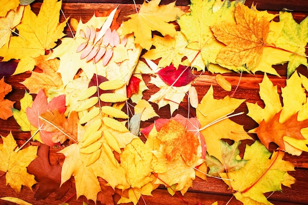 Photo feuilles d'automne sur fond en bois avec espace copie