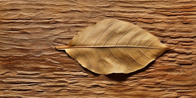 Photo feuilles d'automne sur fond de bois avec de l'espace