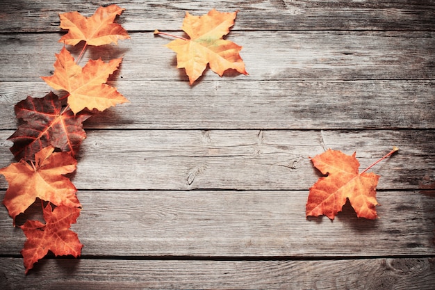 Feuilles d'automne sur fond de bois