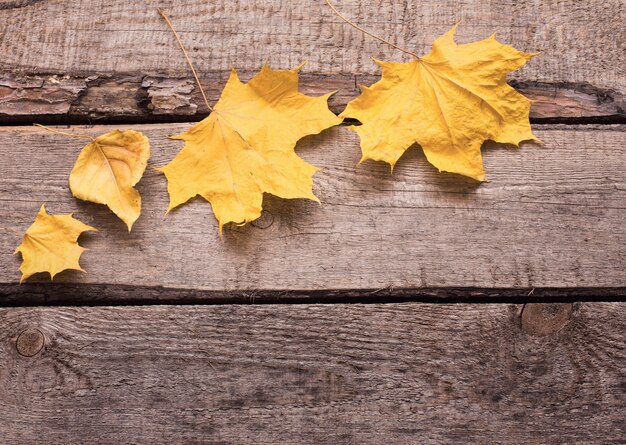 Feuilles d'automne sur fond de bois