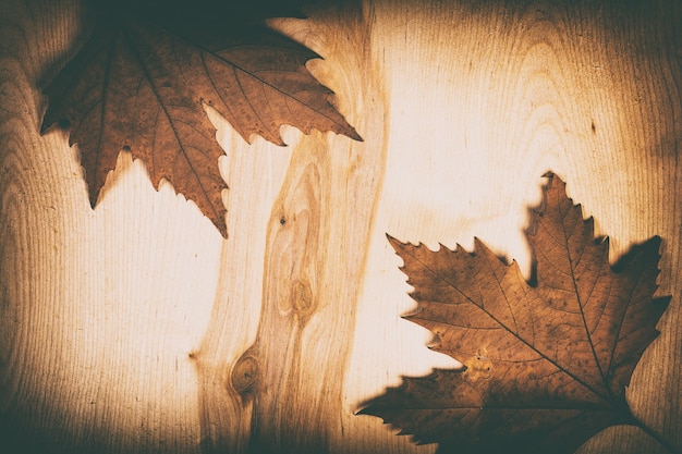 Feuilles d'automne sur fond de bois