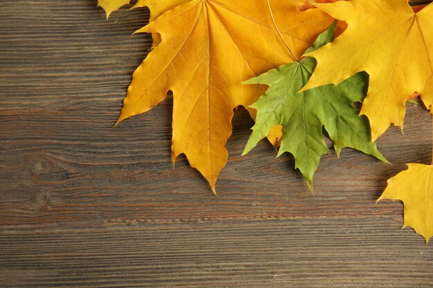 Feuilles d'automne sur le fond en bois