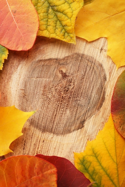 Des feuilles d'automne sur le fond en bois