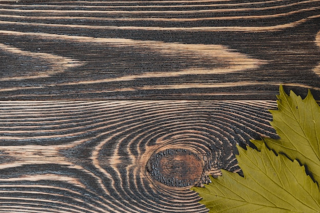 Feuilles d&#39;automne sur fond en bois