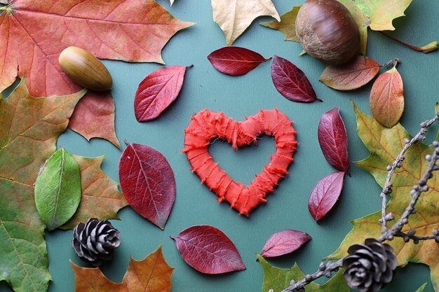 Feuilles d'automne fond sur un concept de table isolé vert nature