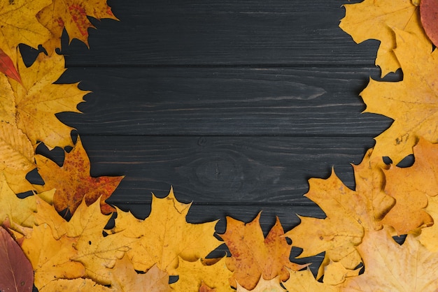 Feuilles d'automne sur le fond un vieux bois sombre