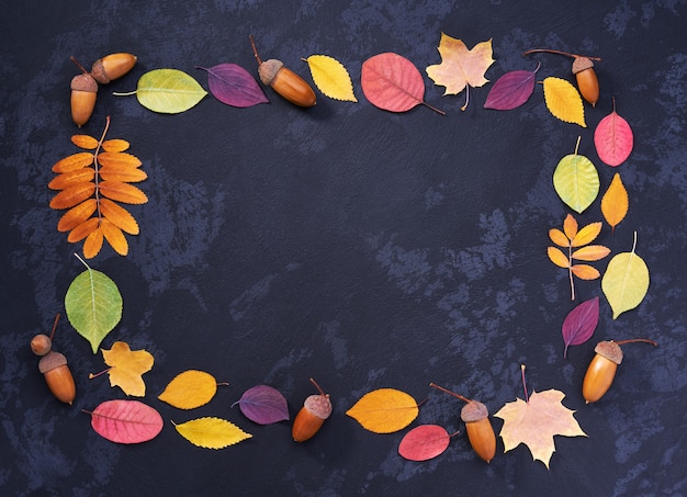 Photo feuilles d'automne et glands lumineux sur une pierre noire