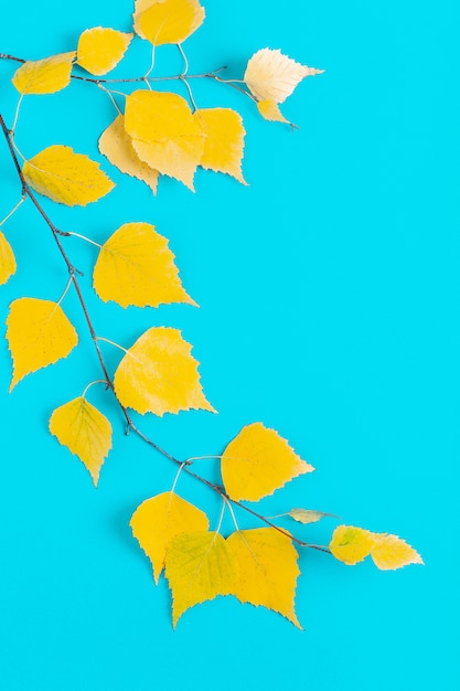 Feuilles d'automne jaune sur fond bleu