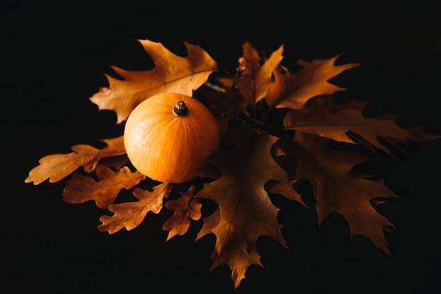 Feuilles d'automne jaune sur fond noir