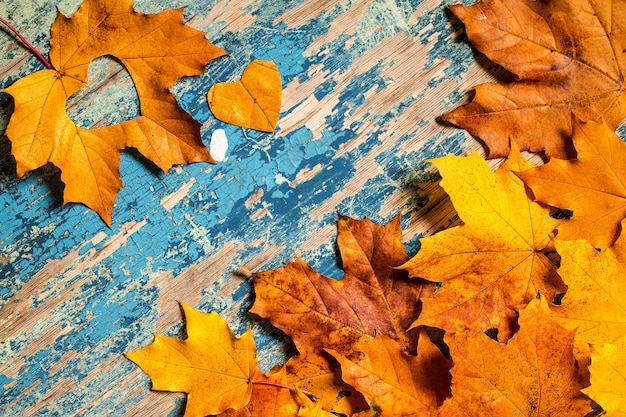 Feuilles d'automne jaunes sur le bureau cyan en bois grunge