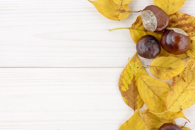 Photo feuilles d'automne jaunes et châtaigne sur fond de bois blanc avec fond