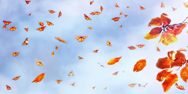 Feuilles d'automne jaunes et rouges lumineuses et papillons contre un ciel bleu avec des nuages dans la lumière du soleil Automne et été art naturel arrière-plan flou