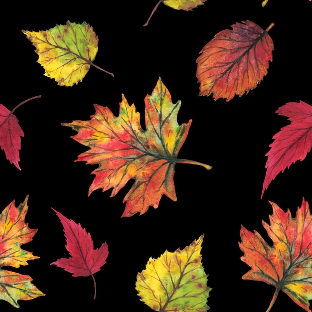 Feuilles d'automne jaunes et rouges Modèle sans couture sur fond noir Illustration aquarelle Clip art botanique feuillage