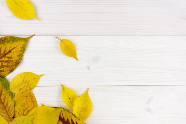 Feuilles d&#39;automne jaunes sur une table en bois blanche