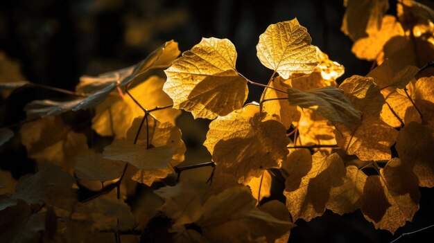 Feuilles d'automne jaunes