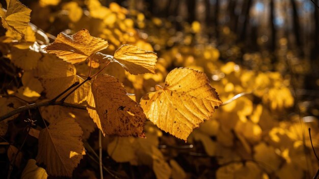 Feuilles d'automne jaunes