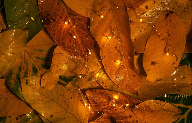 feuilles d'automne multicolores avec de petites guirlandes lumineuses