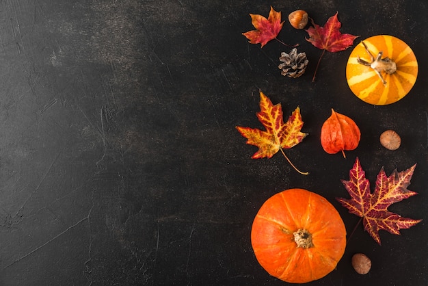 Feuilles d'automne avec des noix isolés sur fond noir