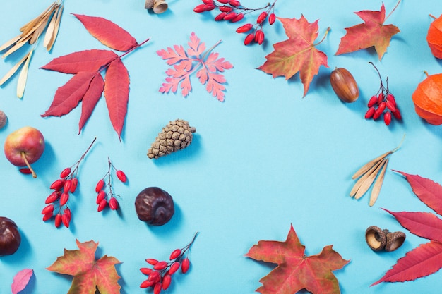 Feuilles d'automne sur papier bleu