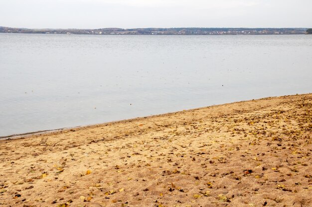 Feuilles d'automne sur le sable au bord du lac