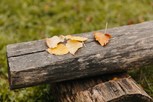 Les feuilles d'automne se trouvent sur un banc de parc. notion d'automne. fond d'automne.