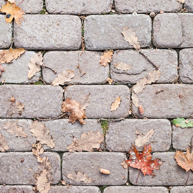 Feuilles d'automne sèches sur les carreaux de rue concept d'arrière-plan