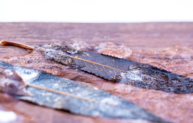 Feuilles d'automne sèches congelées dans la glace.