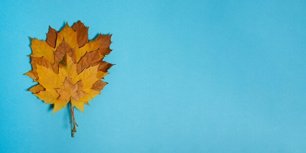 Feuilles d'automne sèches sur fond pastelGrande bannière avec espace négatif