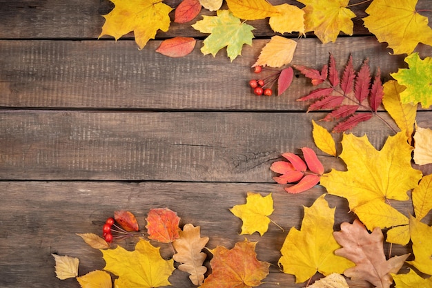 Les feuilles d'automne sont rouges et jaunes sur un vieux fond en bois foncé Le concept d'une étude de vacances