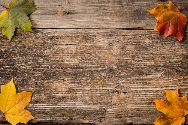 Feuilles d&#39;automne sur une surface en bois avec espace de copie