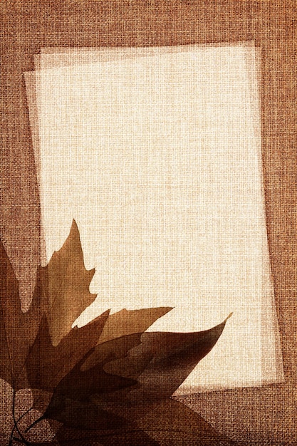 Feuilles d'automne sur la texture du tissu avec espace de copie