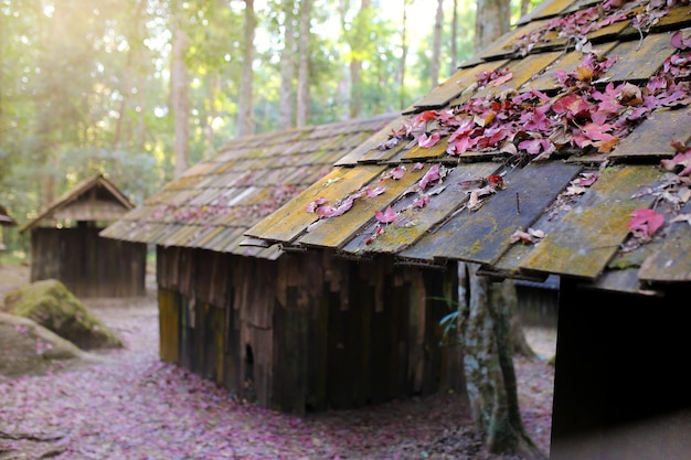 Des feuilles d'automne sur le toit d'une vieille maison en bois dans la forêt