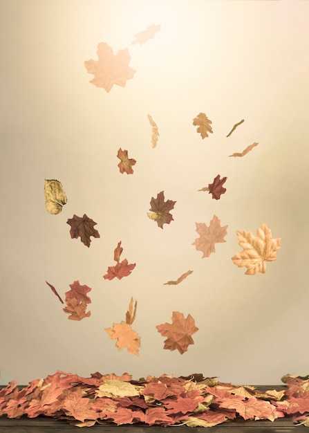 Photo feuilles d'automne tombant dans un faisceau lumineux