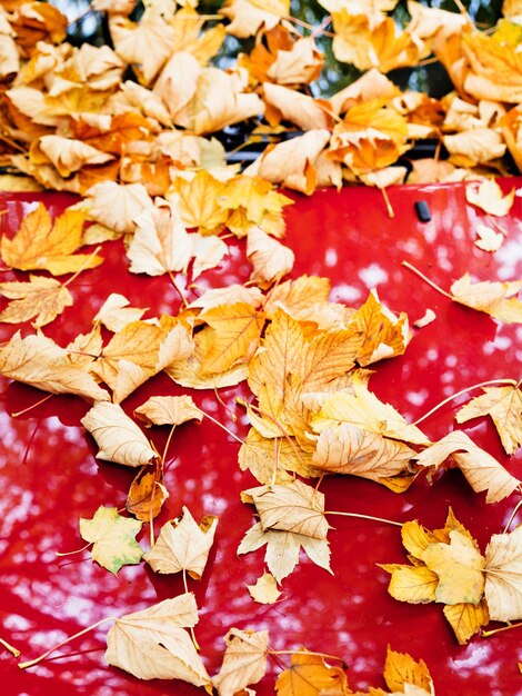 Feuilles d'automne tombées sur la voiture rouge