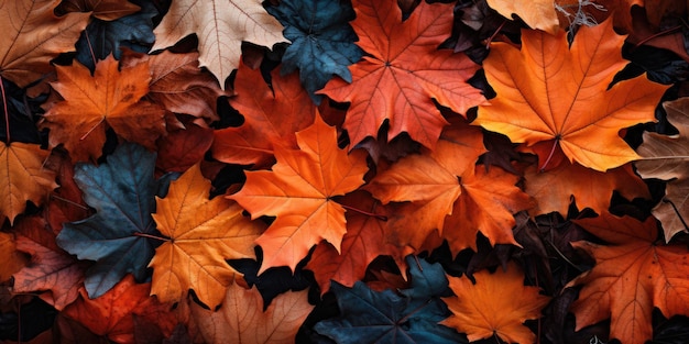 Feuilles d'automne vue supérieure Arrière-plan d'automme Photo de haute qualité IA générative