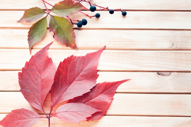 Feuilles et baies d'automne sur un fond en bois