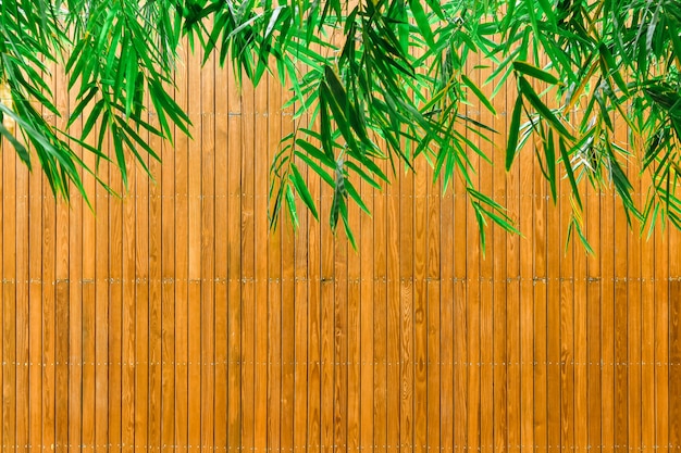 Feuilles de bambou vert et fond de plaques de bois