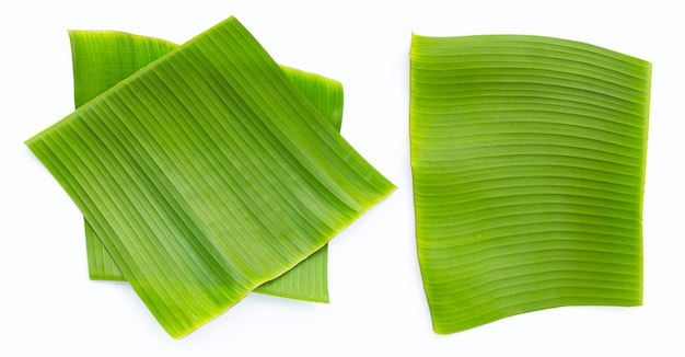 Feuilles de bananier sur fond blanc