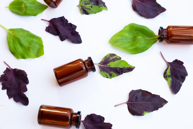 Feuilles de basilic avec bouteille sur fond blanc