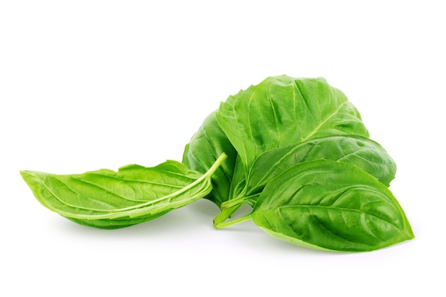 Feuilles de basilic frais vert isolé sur fond blanc