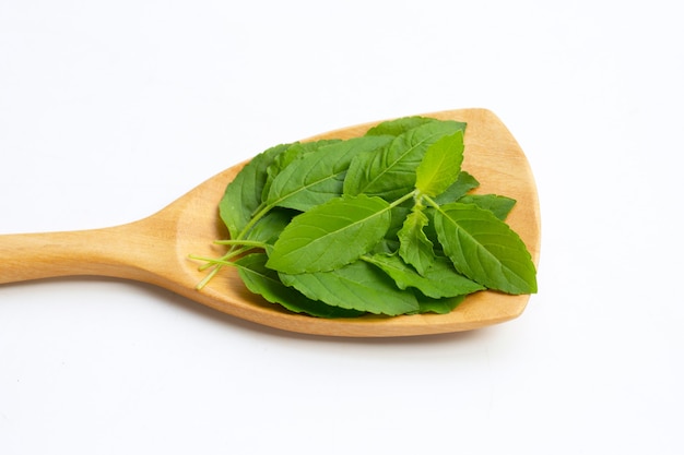 Feuilles de basilic sacré avec une spatule sur une surface blanche