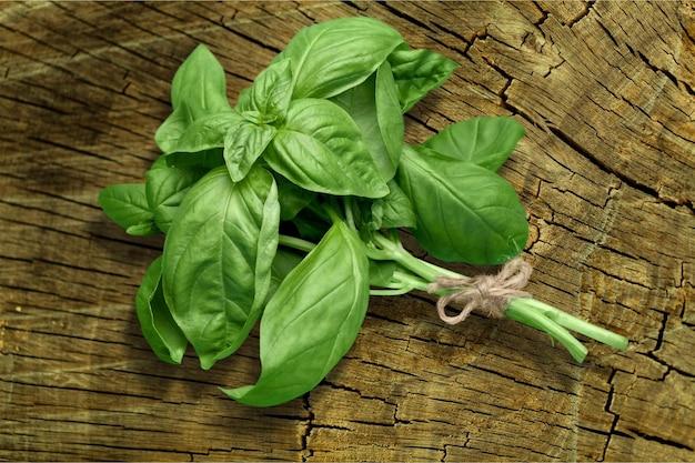 Photo feuilles de basilic vert sur fond de bois