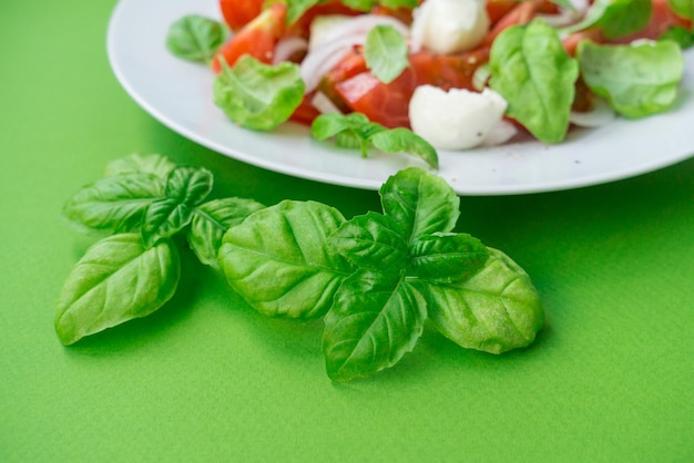 Feuilles de basilic vert vif et assiette de salade avec tomates et mozzarella