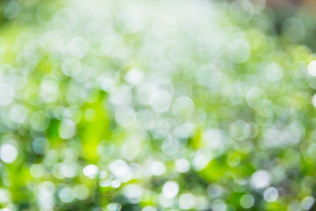 Feuilles de bokeh de la lumière du soleil se déplace