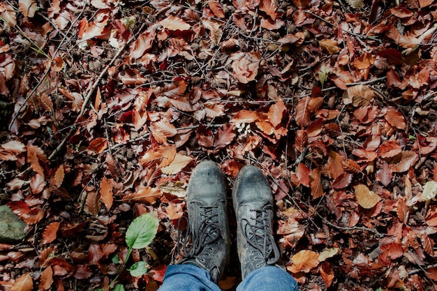 Feuilles et bottes d&#39;automne