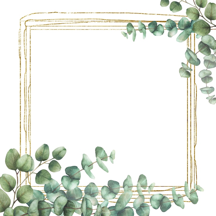 Photo feuilles et branches d'eucalyptus avec cadre doré aquarelle illustration florale peinte à la main carré