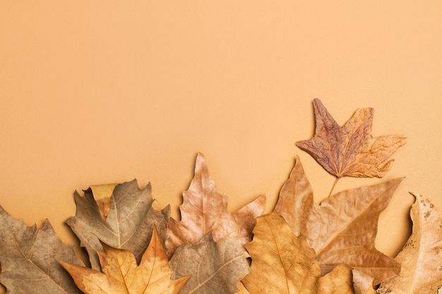 Feuilles brunes d'automne dans une vue de dessus sur un fond marron